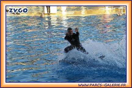 Marineland - Dauphins - Spectacle 17h15 - 1974