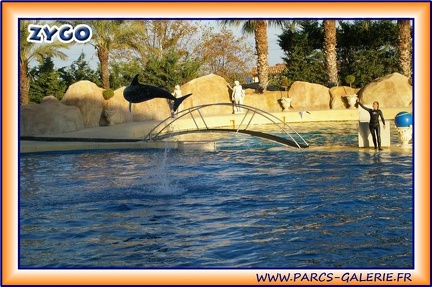 Marineland - Dauphins - Spectacle 17h15 - 1975