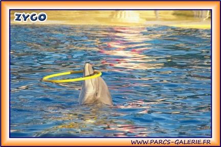 Marineland - Dauphins - Spectacle 17h15 - 1976