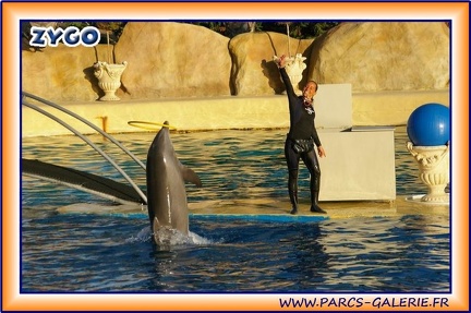 Marineland - Dauphins - Spectacle 17h15 - 1977