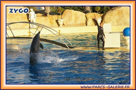 Marineland - Dauphins - Spectacle 17h15 - 1978
