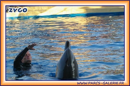 Marineland - Dauphins - Spectacle 17h15 - 1981