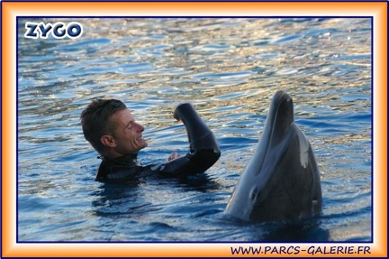 Marineland - Dauphins - Spectacle 17h15 - 1983