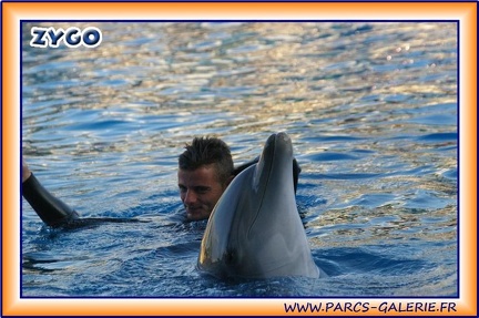 Marineland - Dauphins - Spectacle 17h15 - 1984