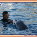 Marineland - Dauphins - Spectacle 17h15 - 1985