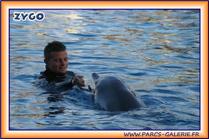 Marineland - Dauphins - Spectacle 17h15 - 1985