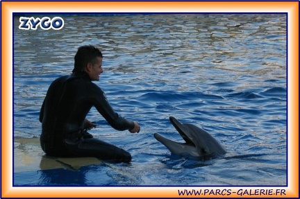 Marineland - Dauphins - Spectacle 17h15 - 1986