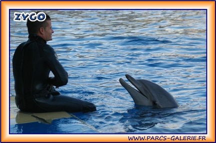 Marineland - Dauphins - Spectacle 17h15 - 1987