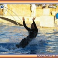 Marineland - Dauphins - Spectacle 17h15 - 1989