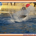 Marineland - Dauphins - Spectacle 17h15 - 1990