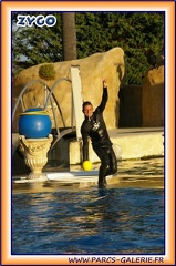 Marineland - Dauphins - Spectacle 17h15 - 1991