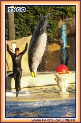 Marineland - Dauphins - Spectacle 17h15 - 1992