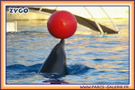 Marineland - Dauphins - Spectacle 17h15 - 1993