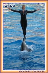 Marineland - Dauphins - Spectacle 17h15 - 1994