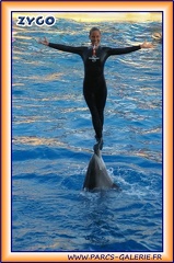 Marineland - Dauphins - Spectacle 17h15 - 1995