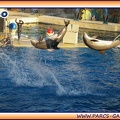 Marineland - Dauphins - Spectacle 17h15 - 1996