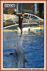Marineland - Dauphins - Spectacle 17h15 - 1998
