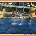 Marineland - Dauphins - Spectacle 17h15 - 1999