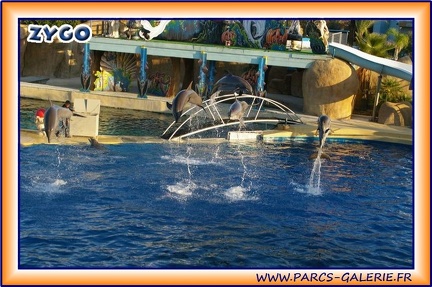 Marineland - Dauphins - Spectacle 17h15 - 1999