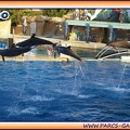 Marineland - Dauphins - Spectacle 17h15 - 2000