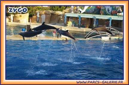 Marineland - Dauphins - Spectacle 17h15 - 2000