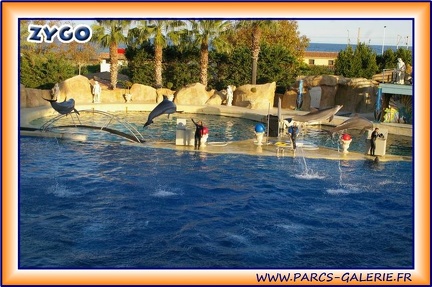 Marineland - Dauphins - Spectacle 17h15 - 2001