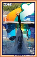 Marineland - Orques - Spectacle - 2035