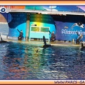 Marineland - Orques - Spectacle - 2045