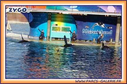 Marineland - Orques - Spectacle - 2045