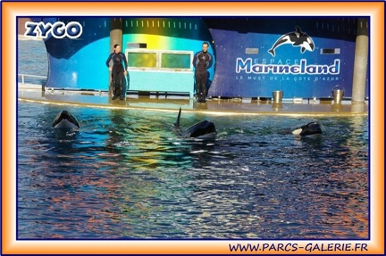 Marineland - Orques - Spectacle - 2047