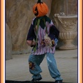 Marineland - Dauphins - Spectacle - It is Halloween - 1741
