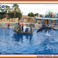 Marineland - Dauphins - Spectacle - It is Halloween - 1748