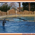 Marineland - Dauphins - Spectacle - It is Halloween - 1751