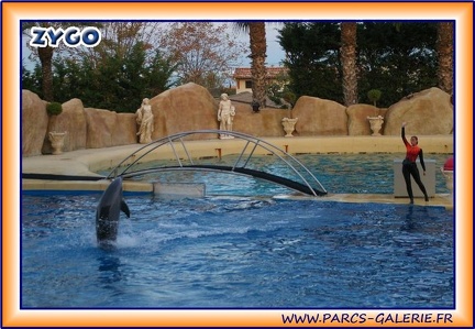 Marineland - Dauphins - Spectacle - It is Halloween - 1751