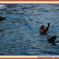 Marineland - Dauphins - Spectacle - It is Halloween - 1752