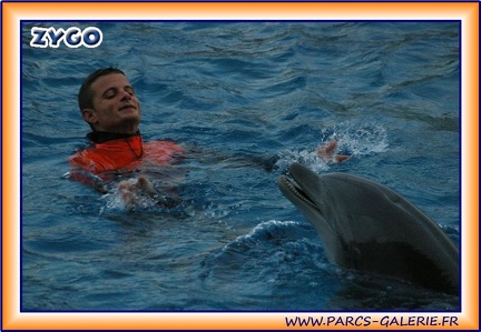 Marineland - Dauphins - Spectacle - It is Halloween - 1753