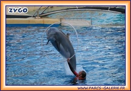 Marineland - Dauphins - Spectacle - It is Halloween - 1761