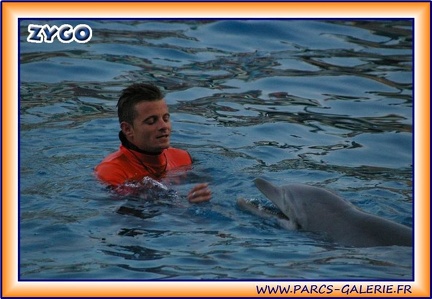 Marineland - Dauphins - Spectacle - It is Halloween - 1764