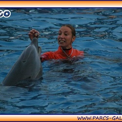 Marineland - Dauphins - Spectacle - It is Halloween