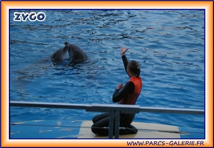 Marineland - Dauphins - Spectacle - It is Halloween - 1768