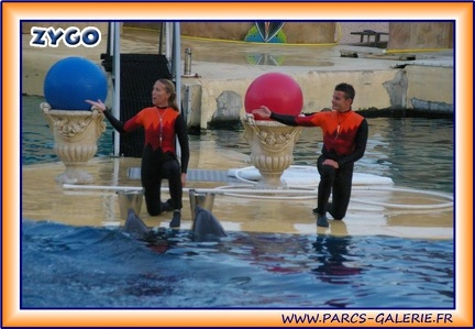 Marineland - Dauphins - Spectacle - It is Halloween - 1770