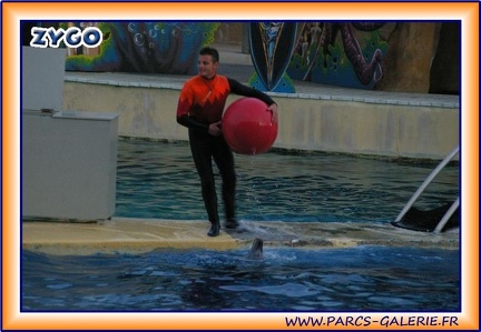 Marineland - Dauphins - Spectacle - It is Halloween - 1773