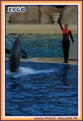 Marineland - Dauphins - Spectacle - It is Halloween - 1775