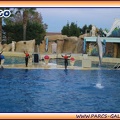 Marineland - Dauphins - Spectacle - It is Halloween - 1777