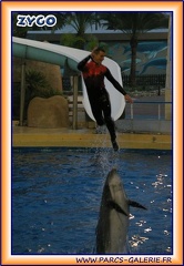 Marineland - Dauphins - Spectacle - It is Halloween - 1778