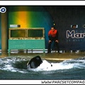 Marineland - Orques - Spectacle - 0965