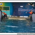 Marineland - Orques - Spectacle - 1002