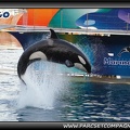 Marineland - Orques - Spectacle - 0824