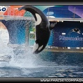 Marineland - Orques - Spectacle - 0825