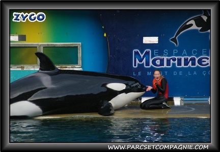 Marineland - Orques - Spectacle - 0838